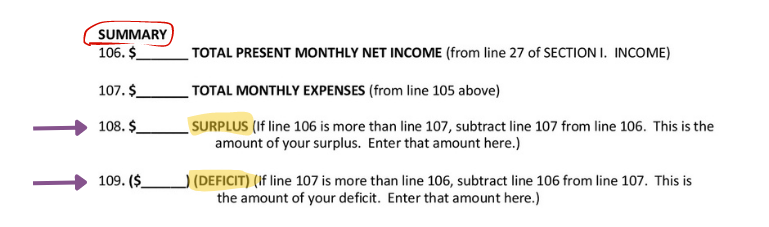 Affidavit Expenses Section Summary