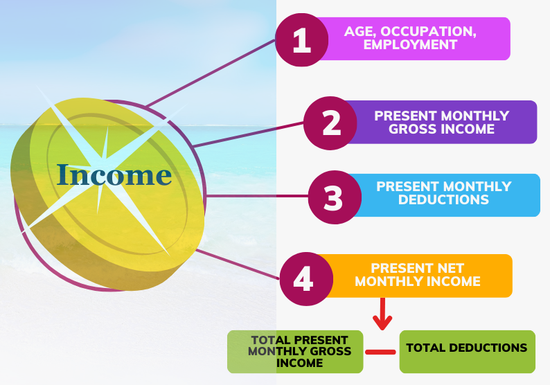 Florida Financial Affidavit Income Section Break Down