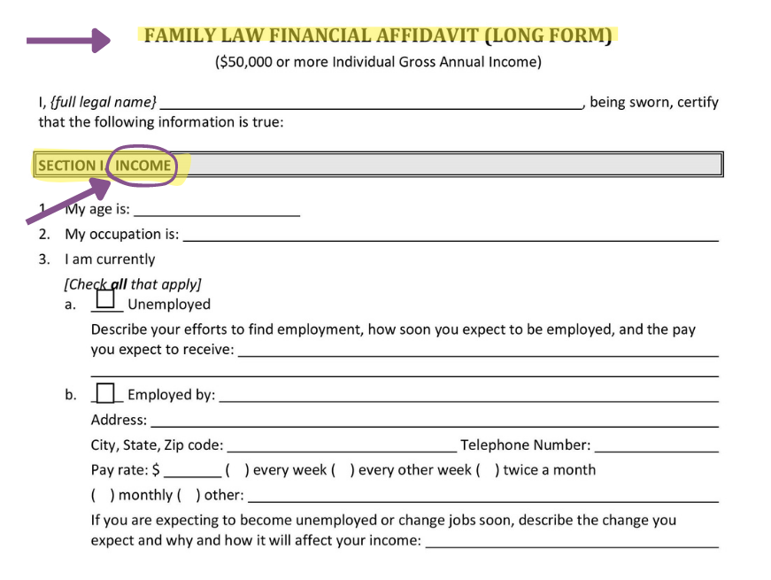 Florida financial Affidavit Income Section